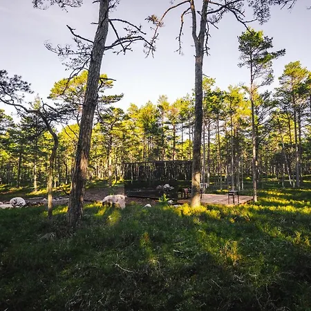 Oeoed --aelskar -with Sauna * Rooslepa