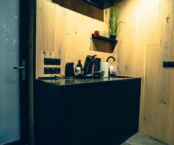 Oeoed --aelskar -with Sauna Rooslepa